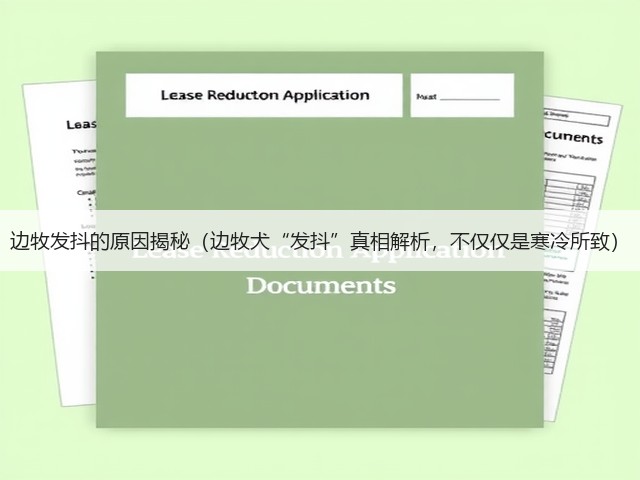 边牧发抖的原因揭秘(边牧犬“发抖”真相解析,不仅仅是寒冷所致)(图2) 边牧发抖的原因揭秘(边牧犬“发抖”真相解析,不仅仅是寒冷所致)(图2)