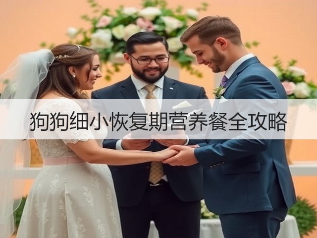 狗狗细小恢复期营养餐全攻略(图3) 狗狗细小恢复期营养餐全攻略(图3)
