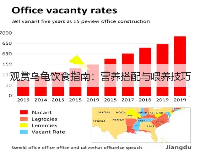 观赏乌龟饮食指南:营养搭配与喂养技巧(图3) 观赏乌龟饮食指南:营养搭配与喂养技巧(图3)