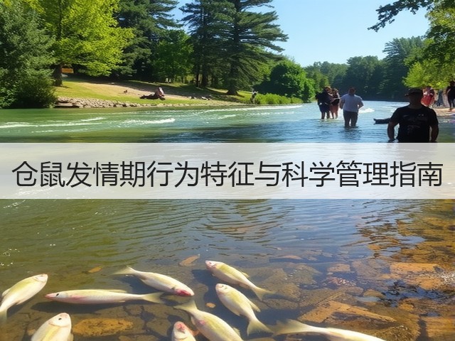 仓鼠发情期行为特征与科学管理指南(图2)