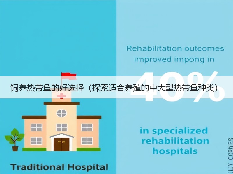 饲养热带鱼的好选择（探索适合养殖的中大型热带鱼种类）