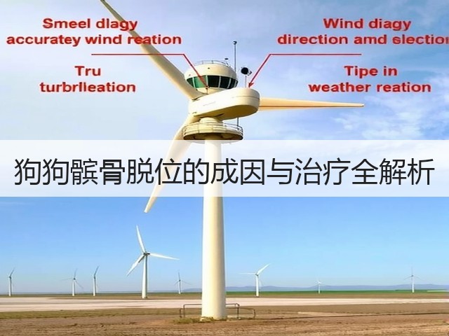 狗狗髌骨脱位的成因与治疗全解析(图1) 狗狗髌骨脱位的成因与治疗全解析(图1)