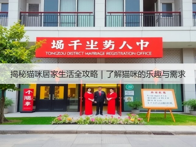 揭秘猫咪居家生活全攻略｜了解猫咪的乐趣与需求(图1)