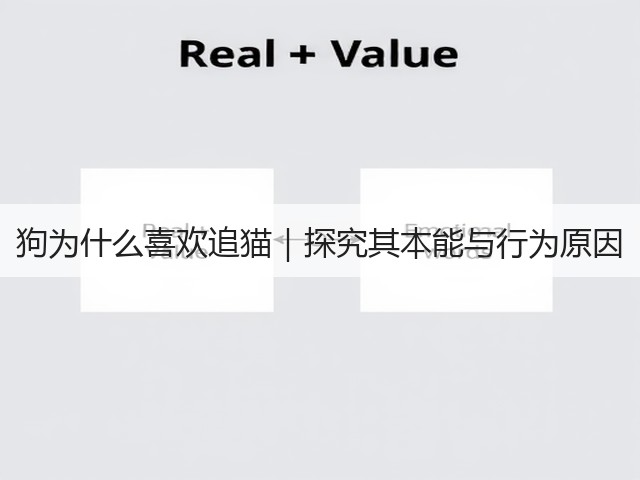 狗为什么喜欢追猫|探究其本能与行为原因(图3) 狗为什么喜欢追猫|探究其本能与行为原因(图3)