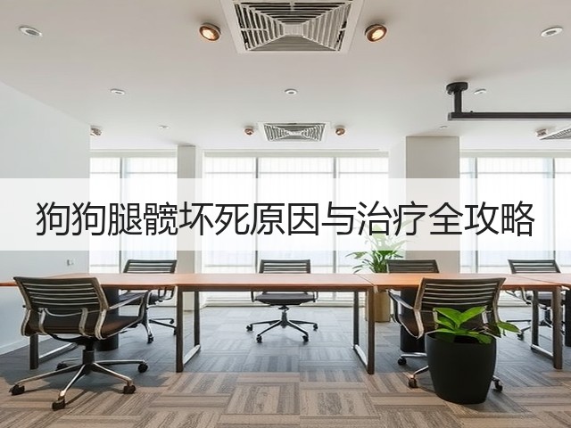 狗狗腿髋坏死原因与治疗全攻略(图1) 狗狗腿髋坏死原因与治疗全攻略(图1)