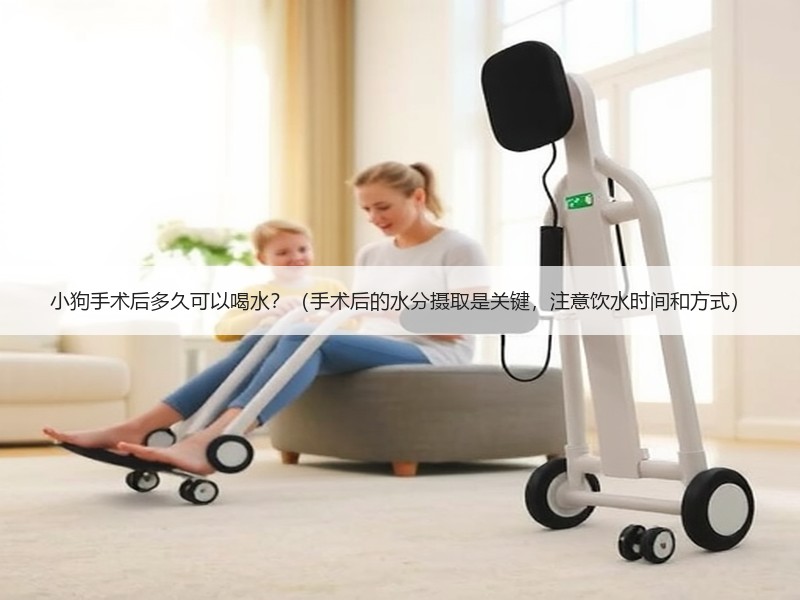 小狗手术后多久可以喝水？（手术后的水分摄取是关键，注意饮水时间和方式）