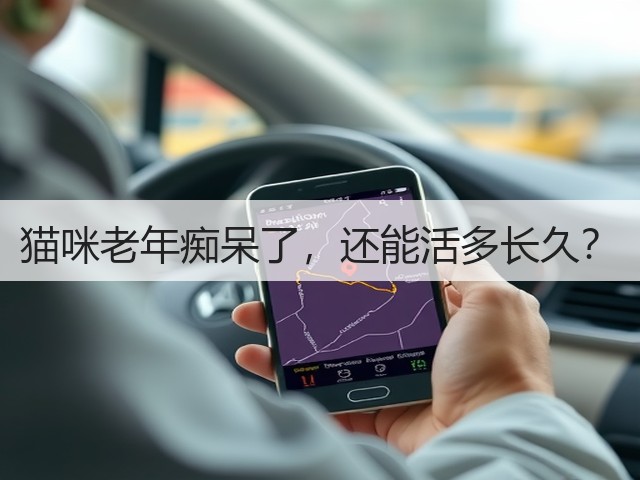 猫咪老年痴呆了,还能活多长久?(图2) 猫咪老年痴呆了,还能活多长久?(图2)