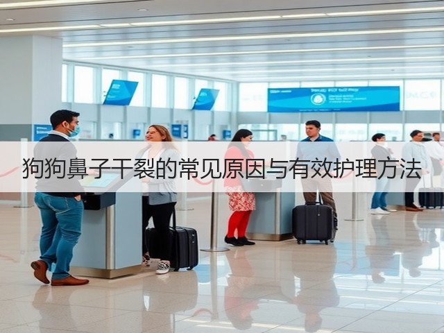 狗狗鼻子干裂的常见原因与有效护理方法(图3)
