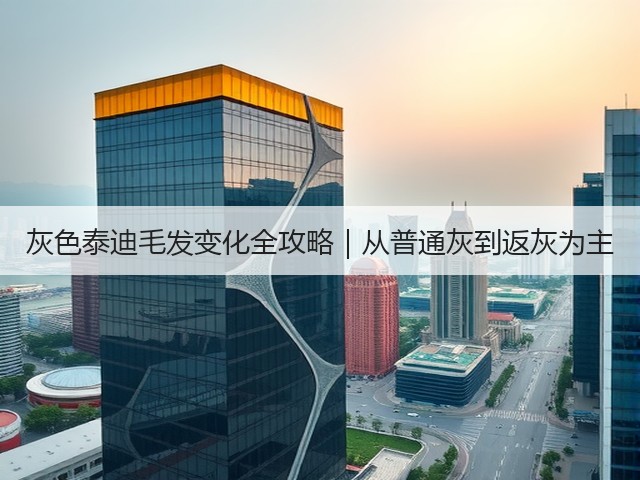 灰色泰迪毛发变化全攻略|从普通灰到返灰为主(图1) 灰色泰迪毛发变化全攻略|从普通灰到返灰为主(图1)