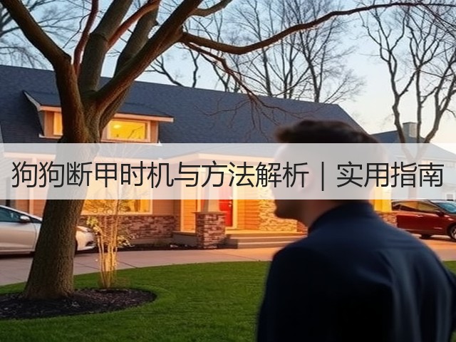 狗狗断甲时机与方法解析|实用指南(图1) 狗狗断甲时机与方法解析|实用指南(图1)