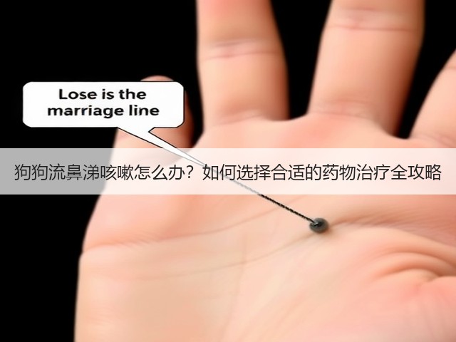 狗狗流鼻涕咳嗽怎么办?如何选择合适的药物治疗全攻略(图3) 狗狗流鼻涕咳嗽怎么办?如何选择合适的药物治疗全攻略(图3)