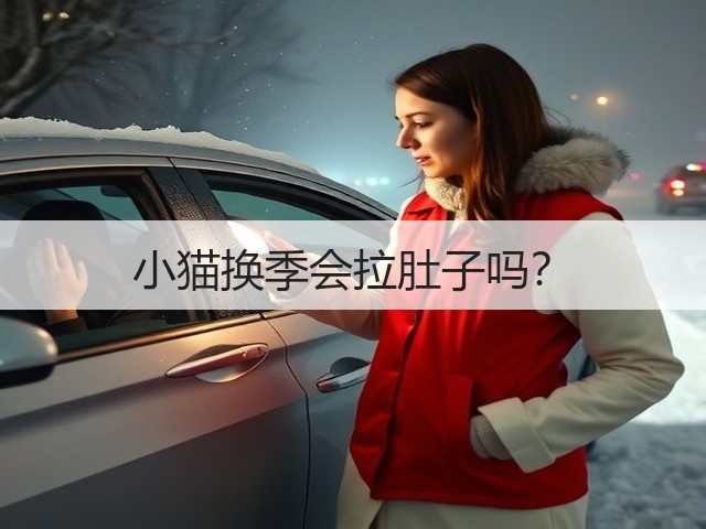 小猫换季会拉肚子吗?(图1) 小猫换季会拉肚子吗?(图1)