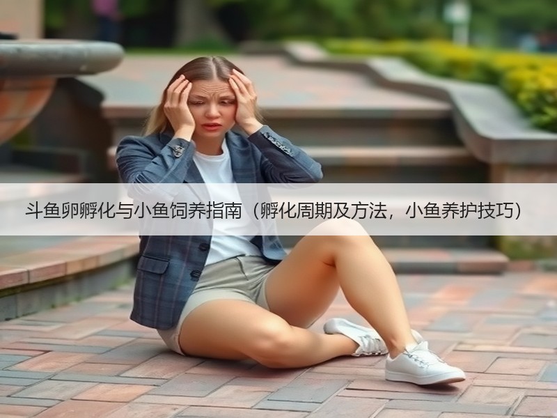 斗鱼卵孵化与小鱼饲养指南（孵化周期及方法，小鱼养护技巧）
