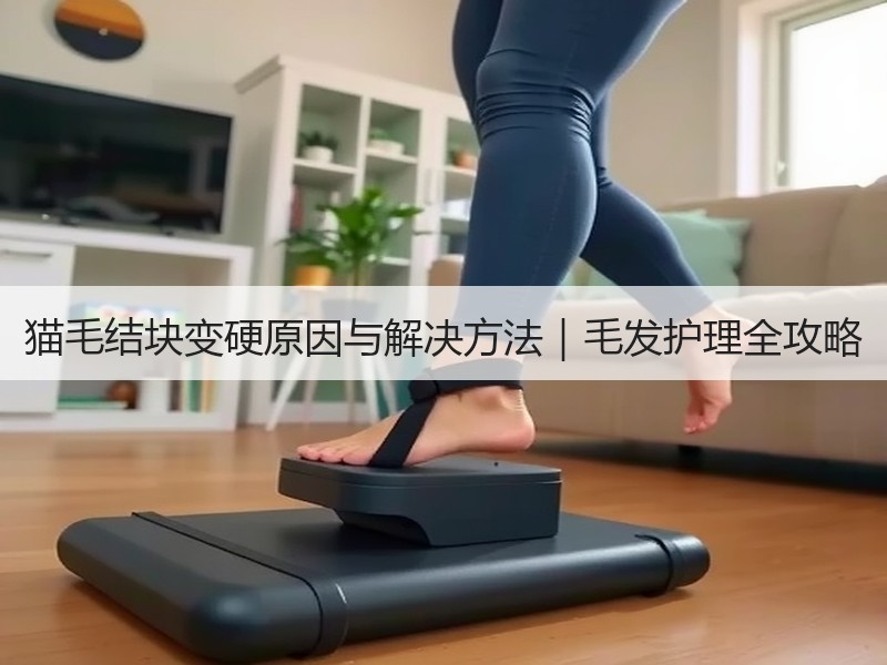猫毛结块变硬原因与解决方法｜毛发护理全攻略