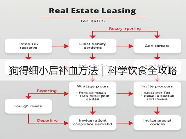 狗得细小后补血方法|科学饮食全攻略(图2) 狗得细小后补血方法|科学饮食全攻略(图2)