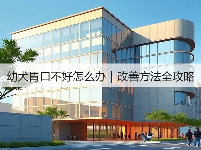 幼犬胃口不好怎么办｜改善方法全攻略