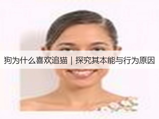 狗为什么喜欢追猫|探究其本能与行为原因(图2) 狗为什么喜欢追猫|探究其本能与行为原因(图2)