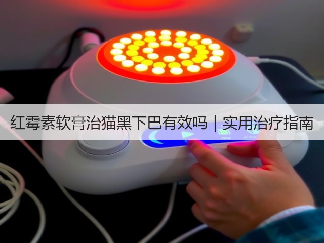 红霉素软膏治猫黑下巴有效吗|实用治疗指南(图2) 红霉素软膏治猫黑下巴有效吗|实用治疗指南(图2)