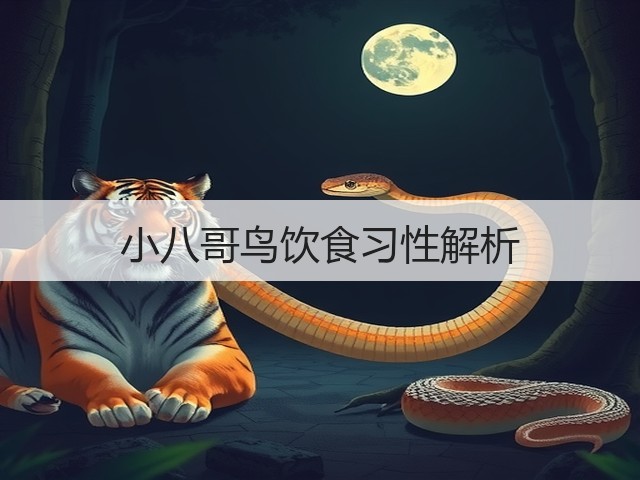小八哥鸟饮食习性解析(图1) 小八哥鸟饮食习性解析(图1)