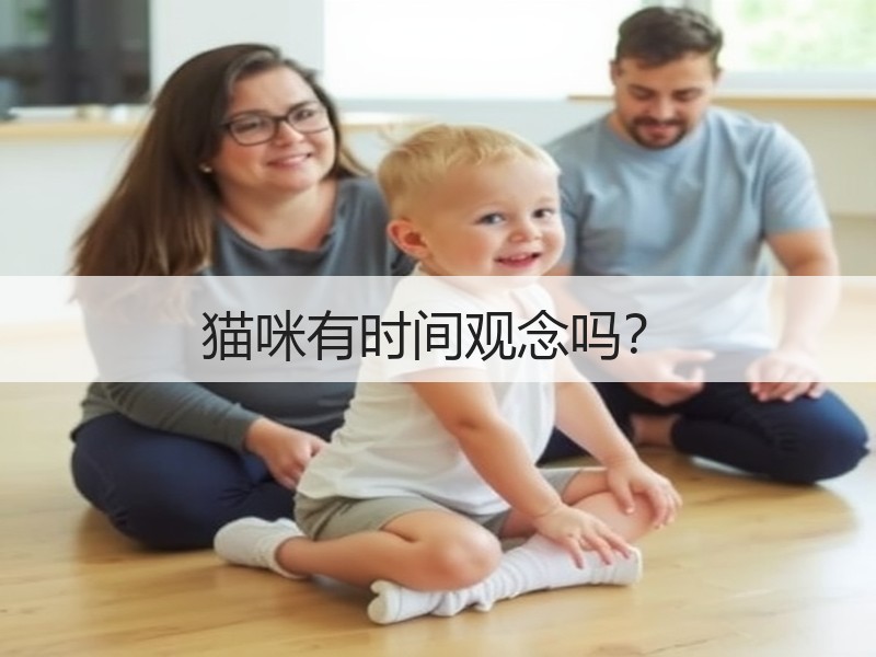 猫咪有时间观念吗？
