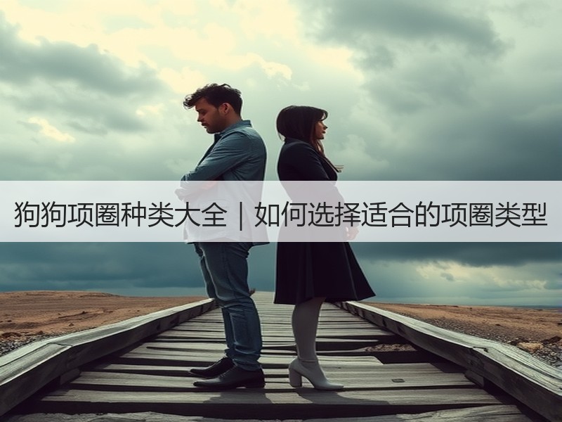 狗狗项圈种类大全｜如何选择适合的项圈类型