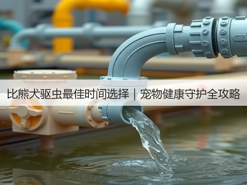 比熊犬驱虫最佳时间选择｜宠物健康守护全攻略