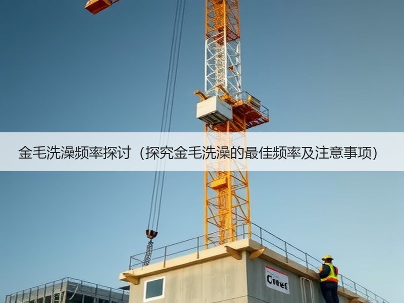 金毛洗澡频率探讨（探究金毛洗澡的最佳频率及注意事项）