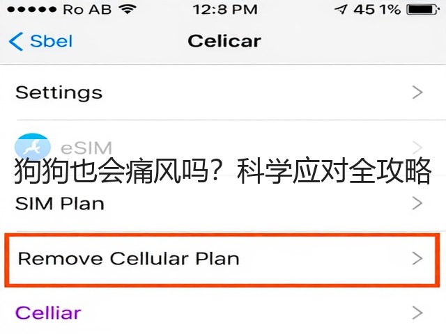狗狗也会痛风吗?科学应对全攻略(图2) 狗狗也会痛风吗?科学应对全攻略(图2)