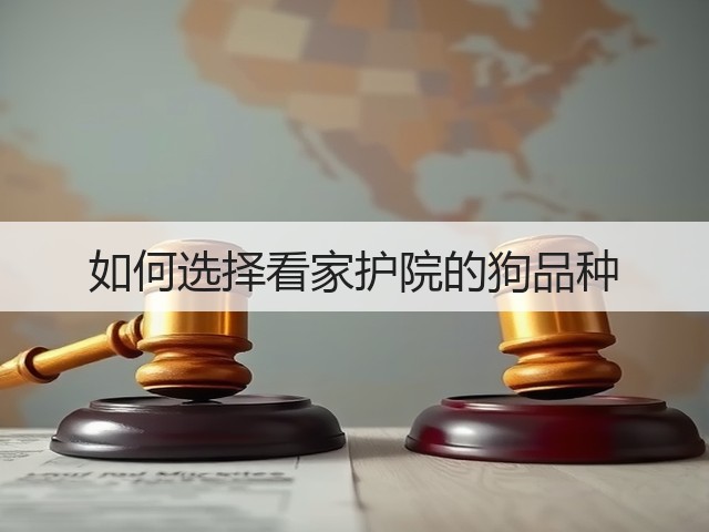 如何选择看家护院的狗品种(图2) 如何选择看家护院的狗品种(图2)