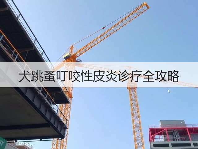 犬跳蚤叮咬性皮炎诊疗全攻略(图2)