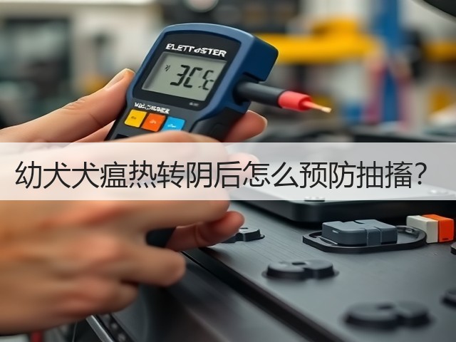 幼犬犬瘟热转阴后怎么预防抽搐?(图1) 幼犬犬瘟热转阴后怎么预防抽搐?(图1)