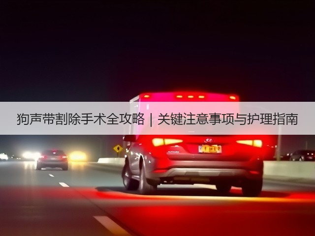 狗声带割除手术全攻略|关键注意事项与护理指南(图1) 狗声带割除手术全攻略|关键注意事项与护理指南(图1)