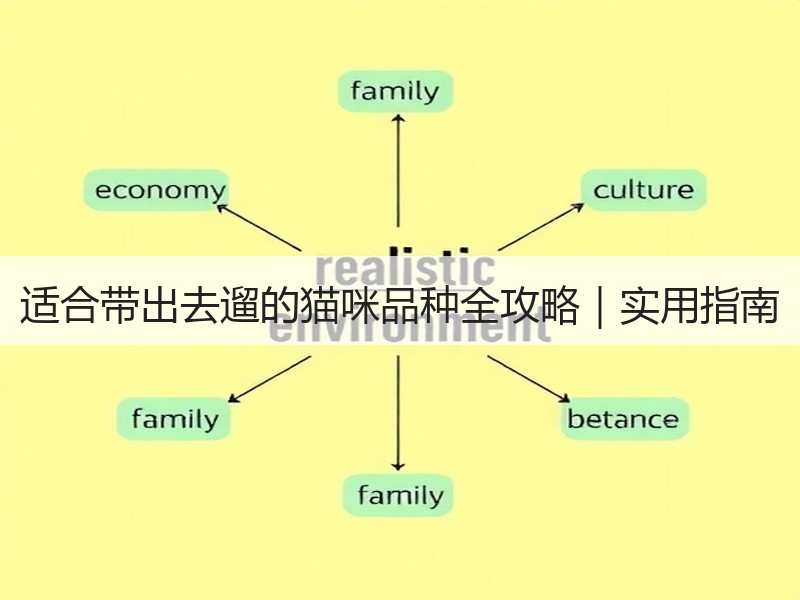 适合带出去遛的猫咪品种全攻略｜实用指南