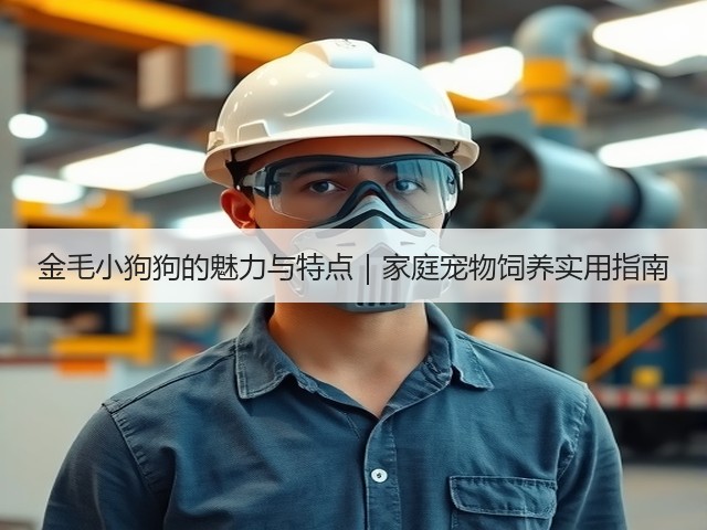 金毛小狗狗的魅力与特点|家庭宠物饲养实用指南(图1) 金毛小狗狗的魅力与特点|家庭宠物饲养实用指南(图1)