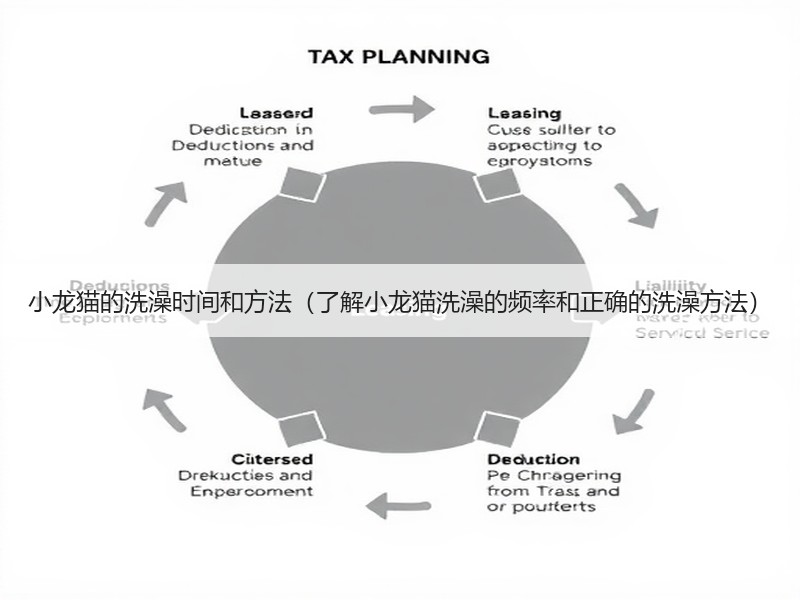 小龙猫的洗澡时间和方法（了解小龙猫洗澡的频率和正确的洗澡方法）