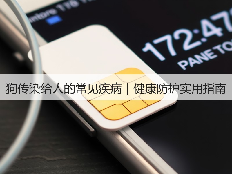 狗传染给人的常见疾病｜健康防护实用指南