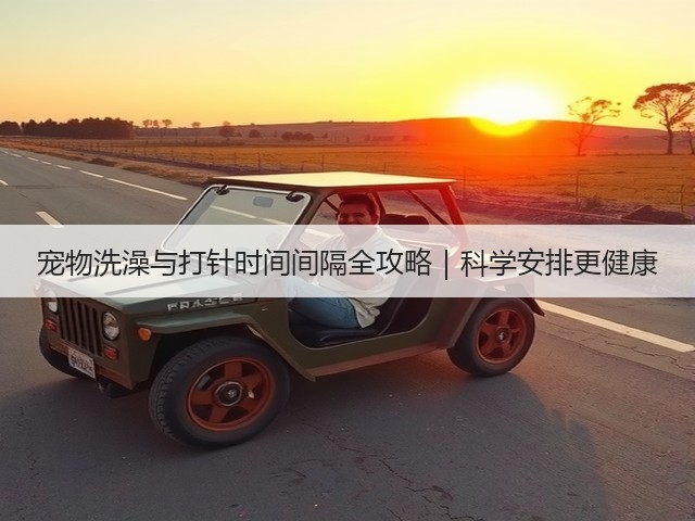 宠物洗澡与打针时间间隔全攻略|科学安排更健康(图3) 宠物洗澡与打针时间间隔全攻略|科学安排更健康(图3)