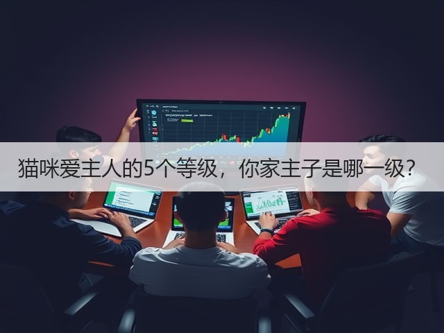 猫咪爱主人的5个等级,你家主子是哪一级?(图2) 猫咪爱主人的5个等级,你家主子是哪一级?(图2)