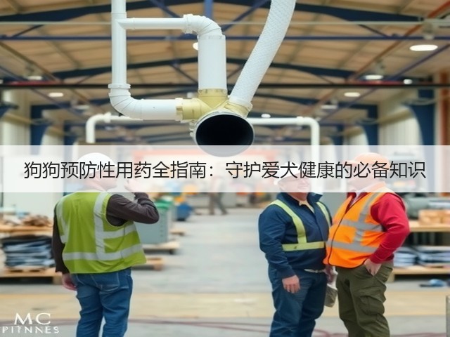 狗狗预防性用药全指南:守护爱犬健康的必备知识(图3) 狗狗预防性用药全指南:守护爱犬健康的必备知识(图3)