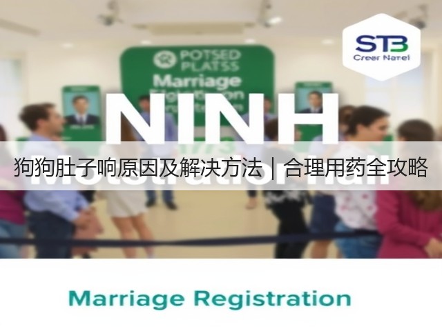 狗狗肚子响原因及解决方法|合理用药全攻略(图2) 狗狗肚子响原因及解决方法|合理用药全攻略(图2)