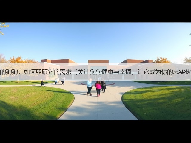 新买的狗狗,如何照顾它的需求(关注狗狗健康与幸福,让它成为你的忠实伙伴)(图1) 新买的狗狗,如何照顾它的需求(关注狗狗健康与幸福,让它成为你的忠实伙伴)(图1)