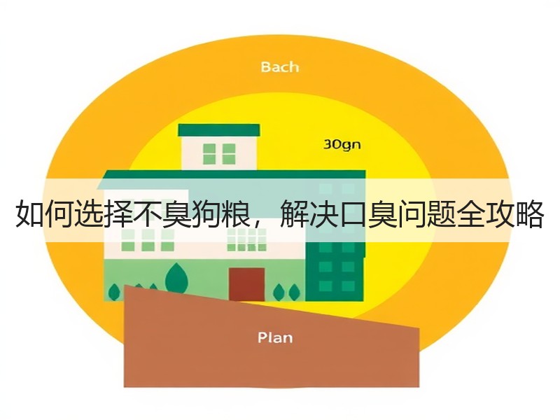 如何选择不臭狗粮，解决口臭问题全攻略