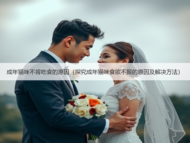 成年猫咪不肯吃食的原因（探究成年猫咪食欲不振的原因及解决方法）