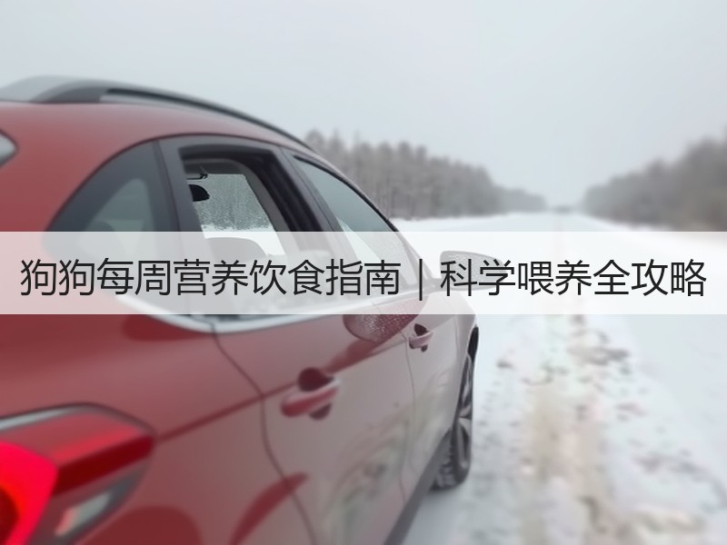 狗狗每周营养饮食指南｜科学喂养全攻略