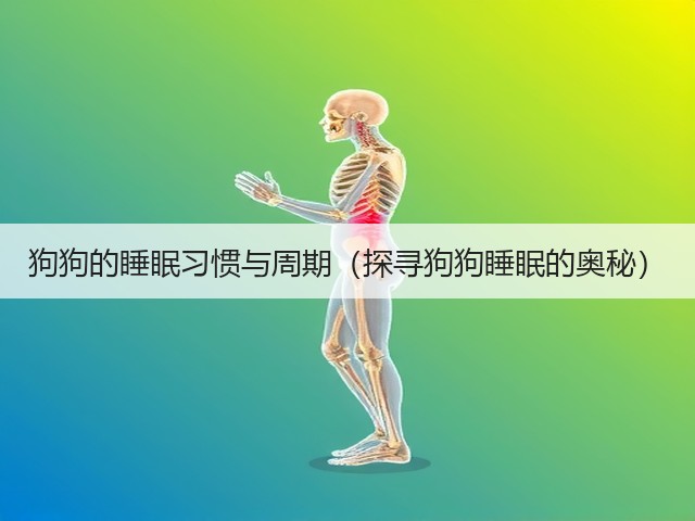 狗狗的睡眠习惯与周期(探寻狗狗睡眠的奥秘)(图3) 狗狗的睡眠习惯与周期(探寻狗狗睡眠的奥秘)(图3)