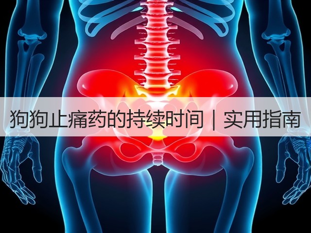 狗狗止痛药的持续时间|实用指南(图2) 狗狗止痛药的持续时间|实用指南(图2)
