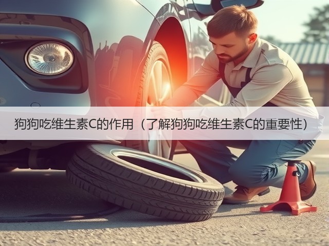 狗狗吃维生素C的作用(了解狗狗吃维生素C的重要性)(图2) 狗狗吃维生素C的作用(了解狗狗吃维生素C的重要性)(图2)