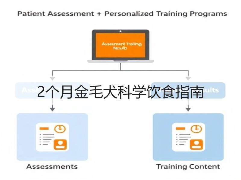 2个月金毛犬科学饮食指南