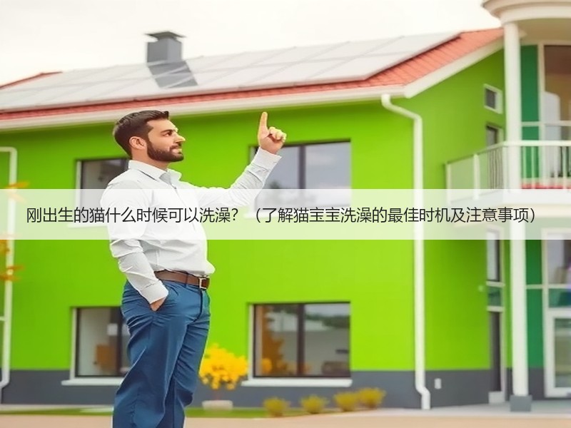 刚出生的猫什么时候可以洗澡？（了解猫宝宝洗澡的最佳时机及注意事项）