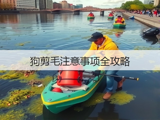 狗剪毛注意事项全攻略(图2) 狗剪毛注意事项全攻略(图2)